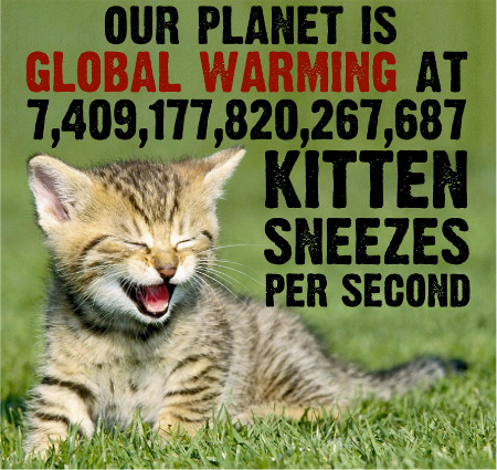 Kitten sneezes