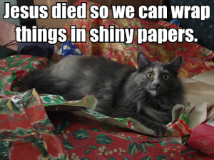 Jesus died cat