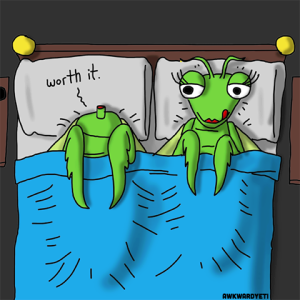 Preying mantis sex