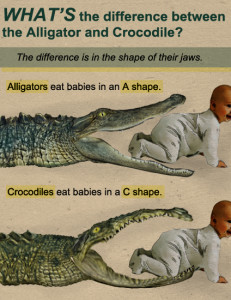 Alis vs Crocs