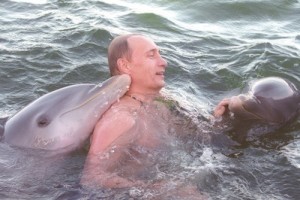 Putin dolphins