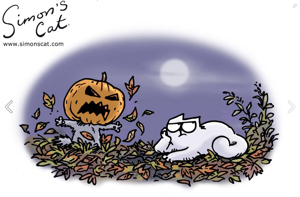 pumpkin-day-27-oct-2016