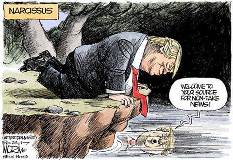 Narcissus cartoon.