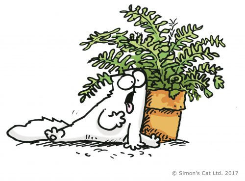 Simon's Cat art work