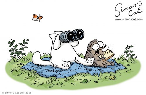 Simon's Cat bird-watching with a hedgehog.