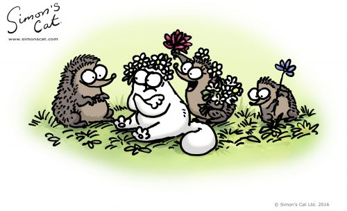 Simon's Cat and three hedgehogs.