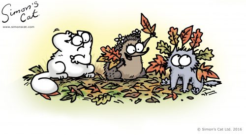 Simon's Cat, Kitten, and a hedgehog.