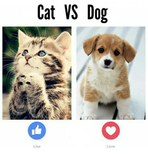 Cats versus Dogs (plus Tweets)