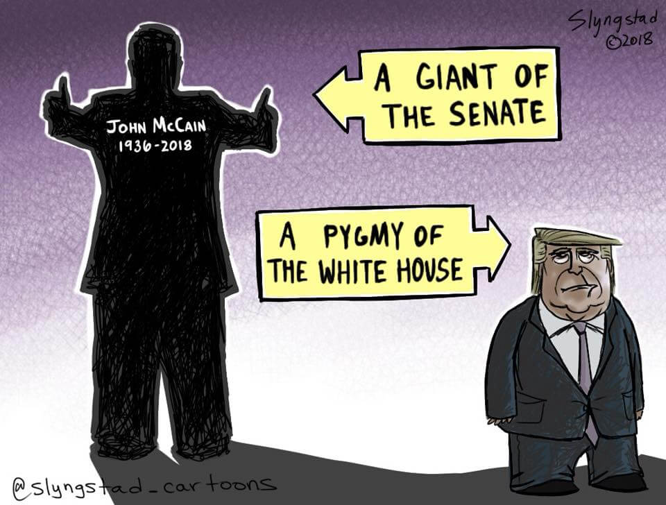 Cartoon comparing McCain and Trump