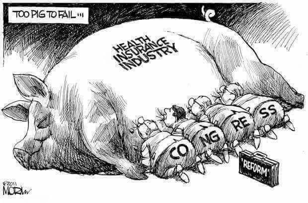 Cartoon: Congress sucking pig of health insurance industry