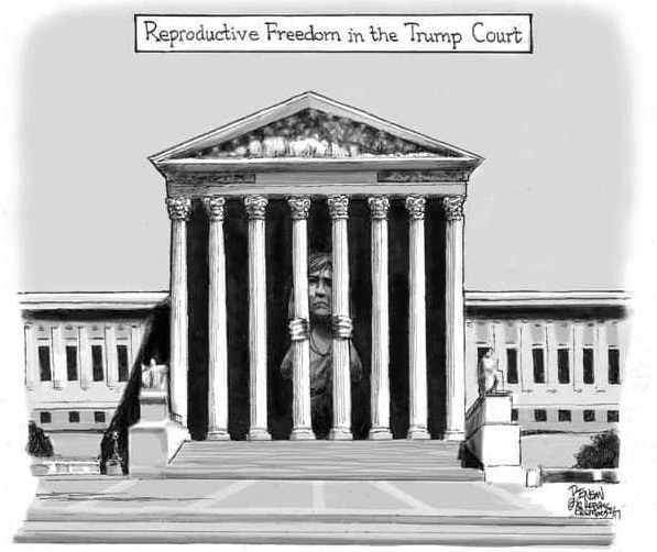 Cartoon: Reproductive Freedom in the Trump Court